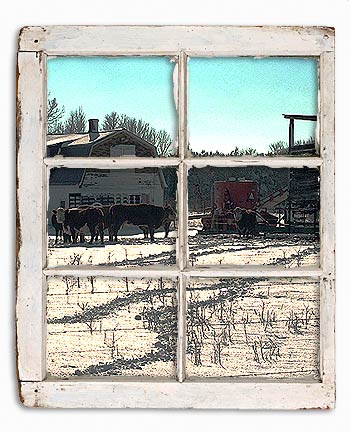 window1b.jpg