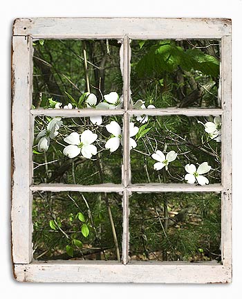 window3.jpg